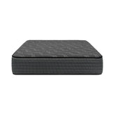 Craftsman Extra Firm Twin Size.
